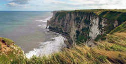 Bempton Cliffs