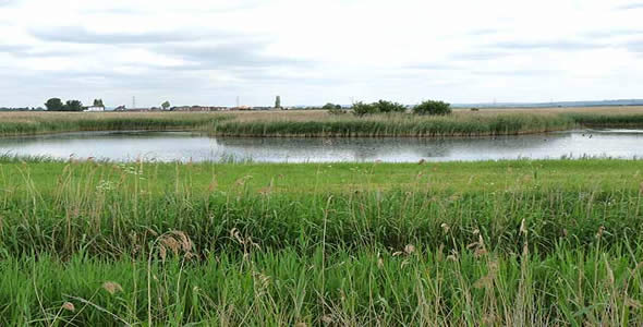 Blacktoft Sands