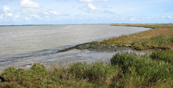 Berney Marshes and Breydon Water RSPB Nature Reserve