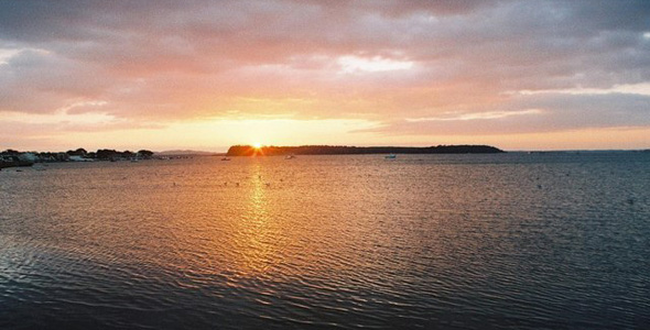 Brownsea Island