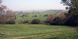 Coombes Valley RSPB Nature Reserve