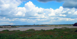 Dungeness RSPB Nature Reserve