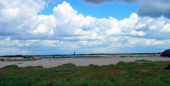 Dungeness RSPB Nature Reserve