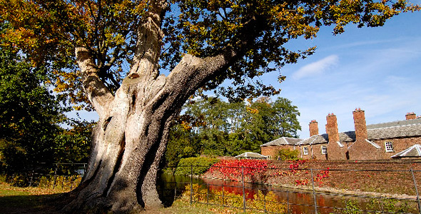 Dunham Massey