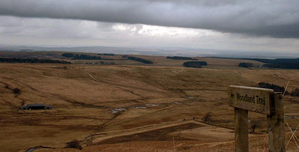 Geltsdale RSPB Nature Reserve