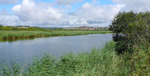 Radipole Lake RSPB Nature Reserve