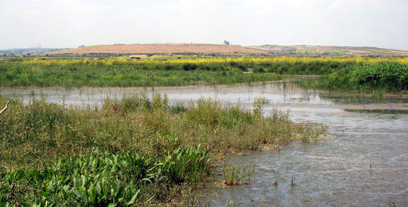 Rainham Marshes RSPB Nature Reserve