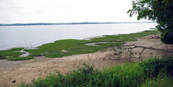 Stour Estuary