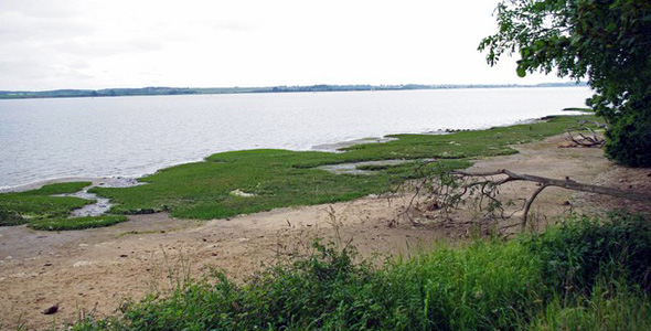 Stour Estuary RSPB Nature Reserve