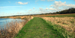 Strumpshaw Fen RSPB Nature Reserve