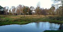 The Lodge RSPB Nature Reserve