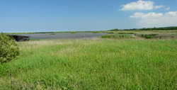 Titchwell Marsh RSPB Nature Reserve