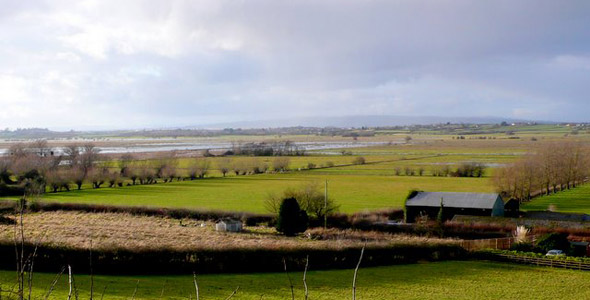 West Sedgemoor RSPB Nature Reserve